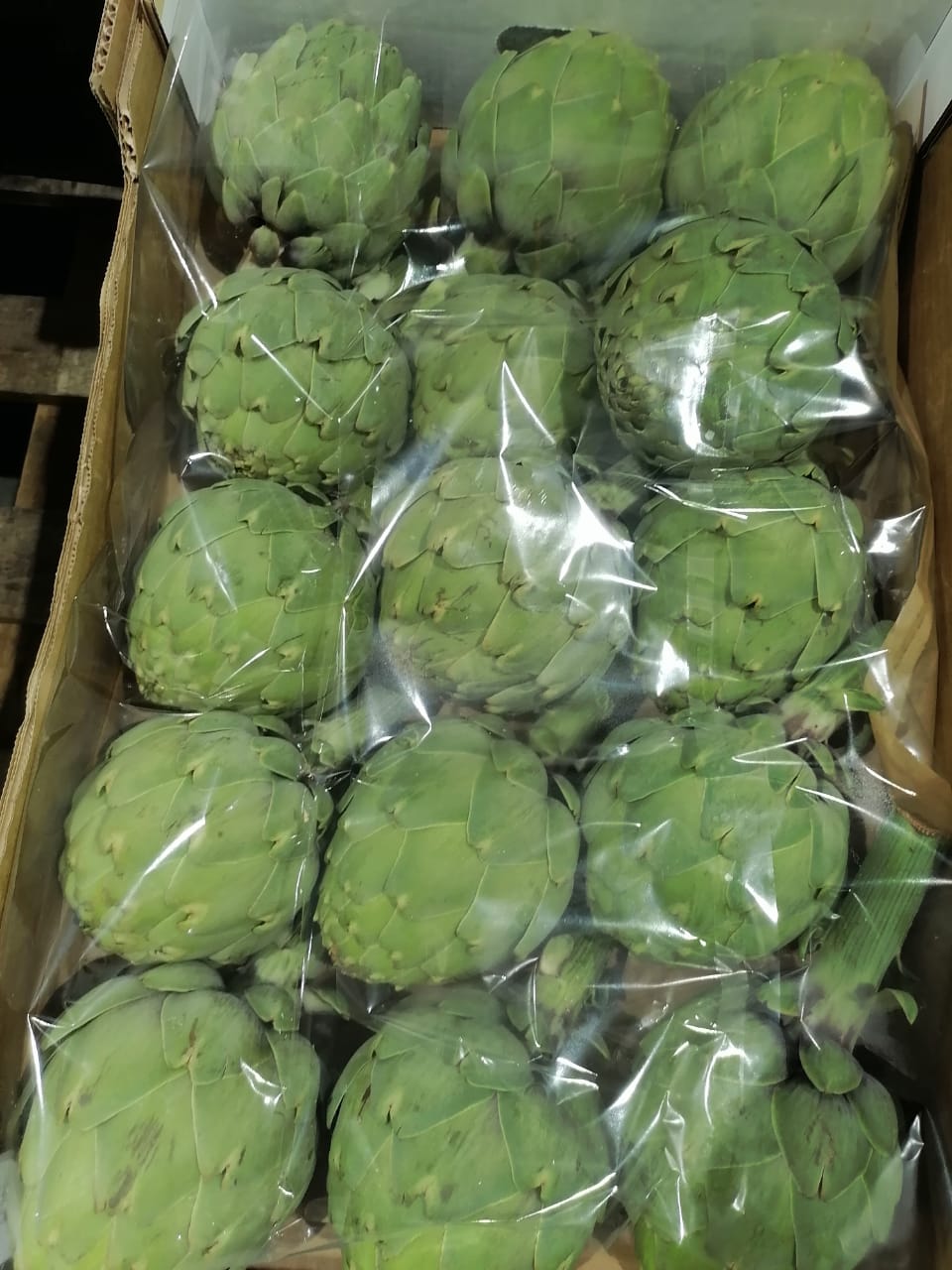Artichoke Globe