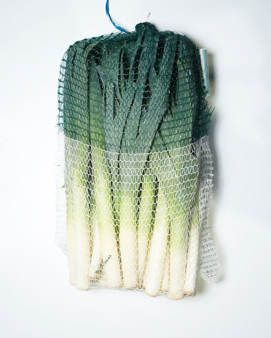 Leek Australia / Holland