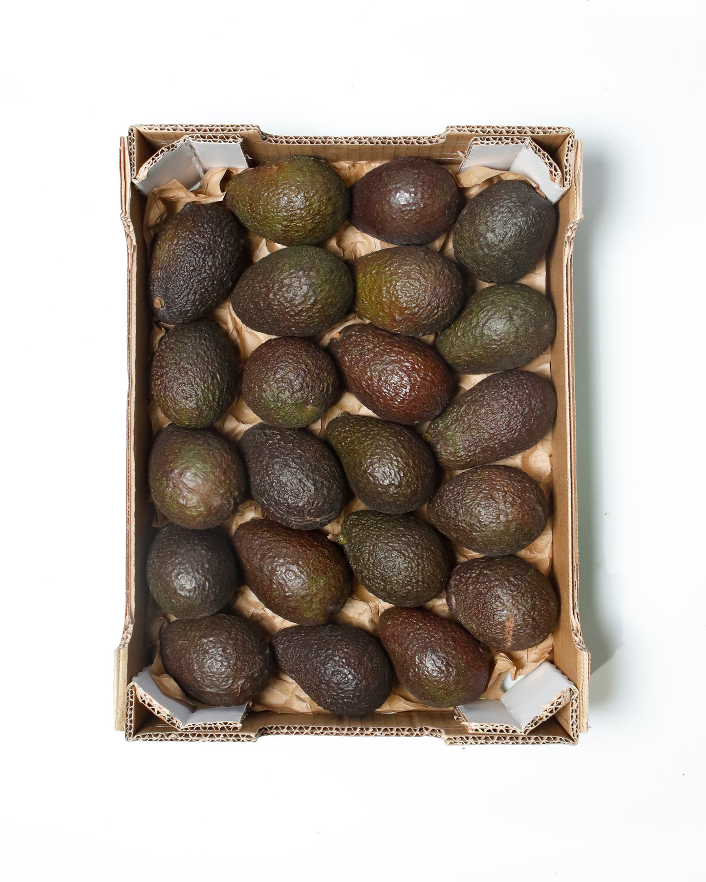 Avocado Hass
