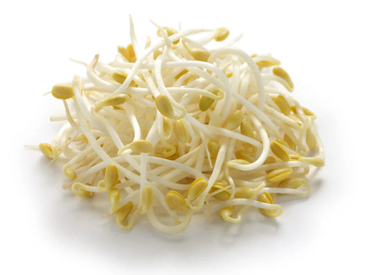 Bean Sprout Large (1 Kg/Pkt)