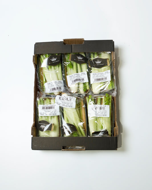 Baby Fennel