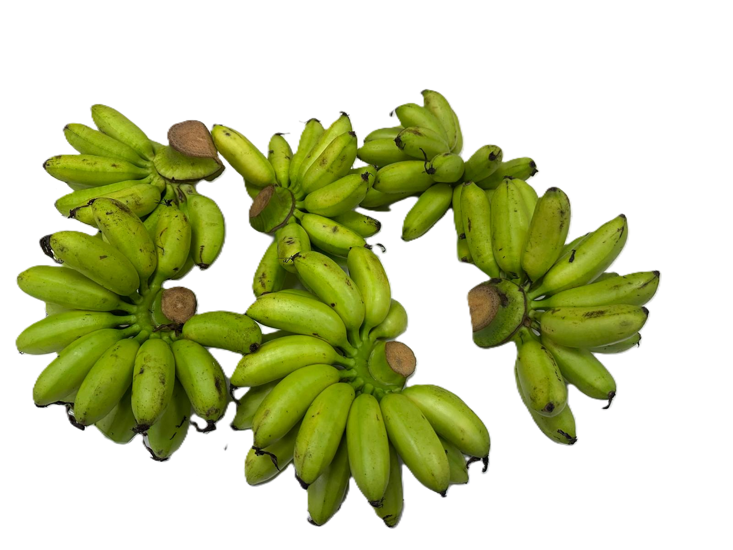 Banana Local - Pisang Raja