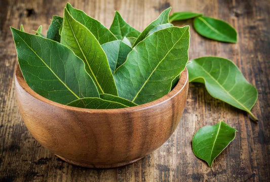 Herb Bay leaf
