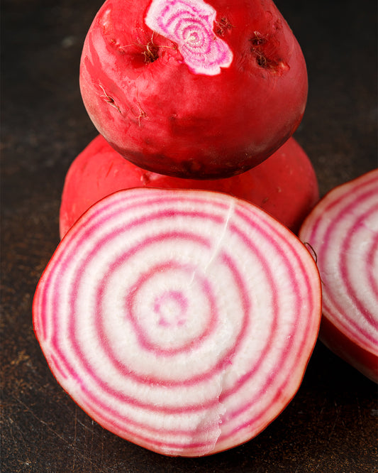 Beetroot Chioggia Big Size