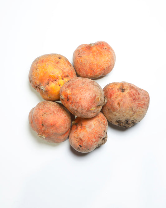 Beetroot Yellow Golden Big Size