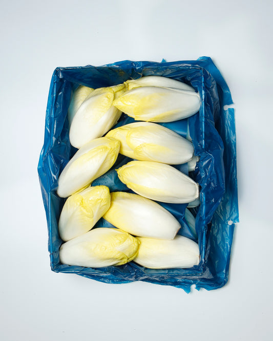Belgium Endive