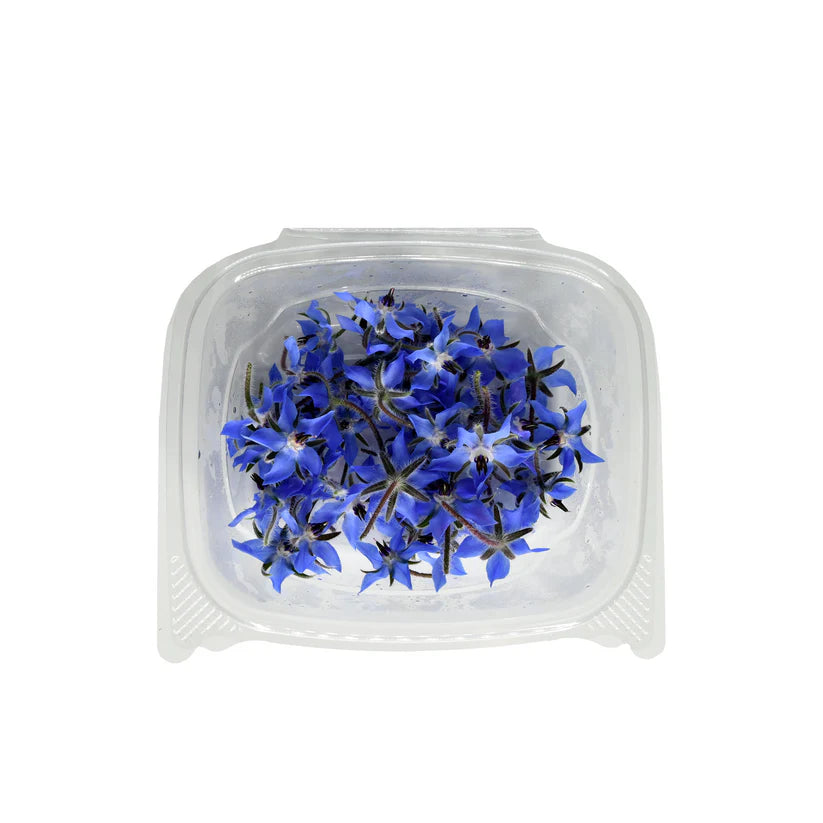 Edible Flowers - Borage (Blue) (Nosh)