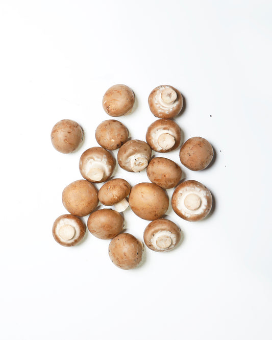 Mushroom Swiss Brown