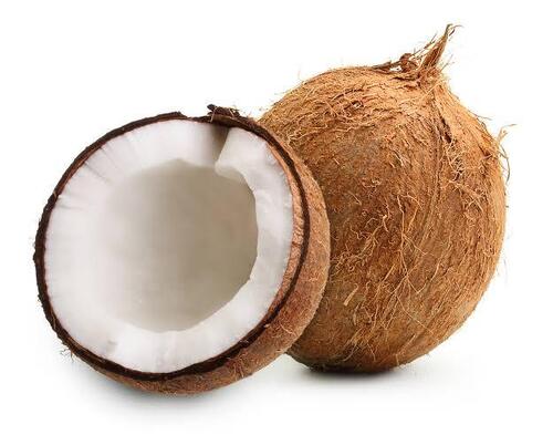 Coconut - Old