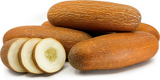 Cucumber Old Yellow