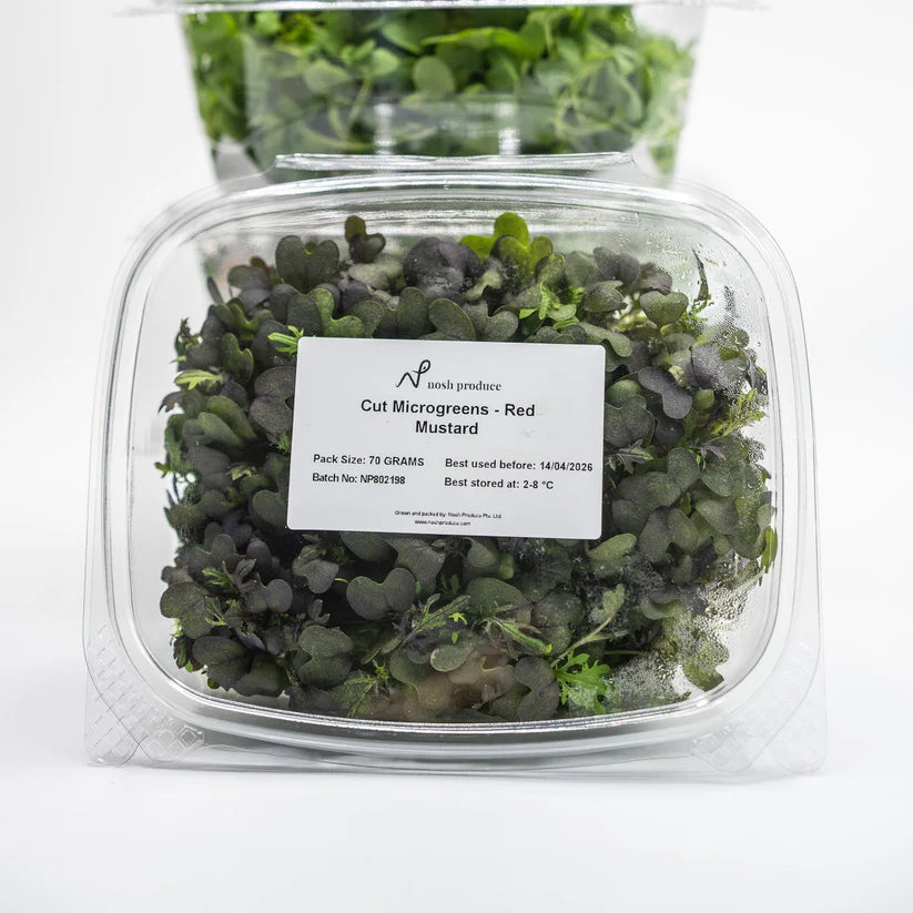 Cut Microgreen Mustard Red (Nosh)