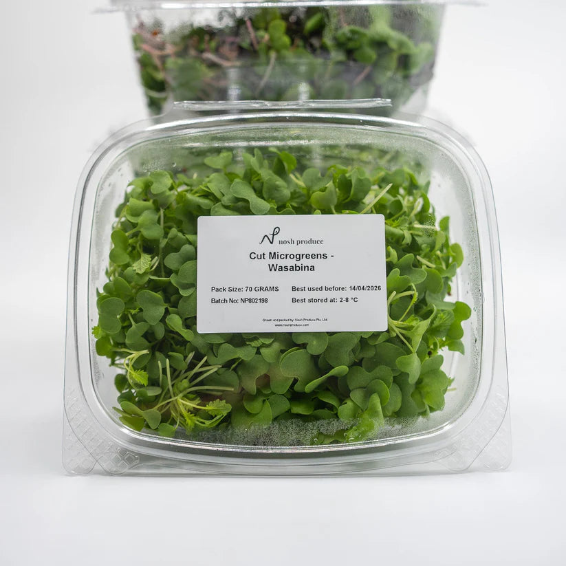 Cut Microgreen Wasabina (Nosh)