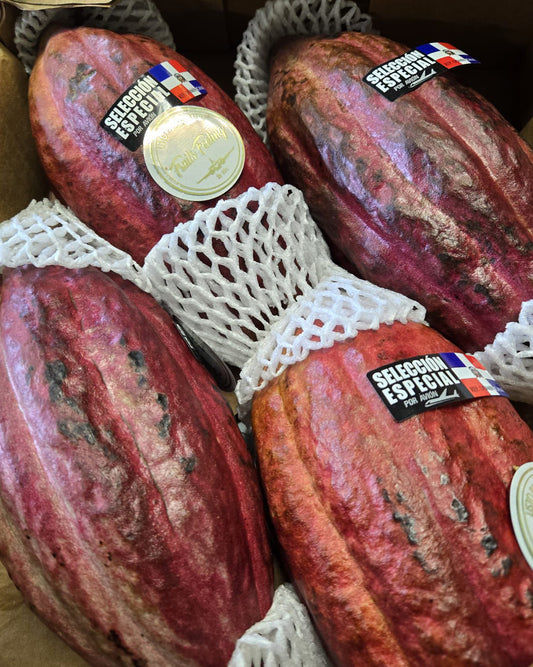 Cacao Pods