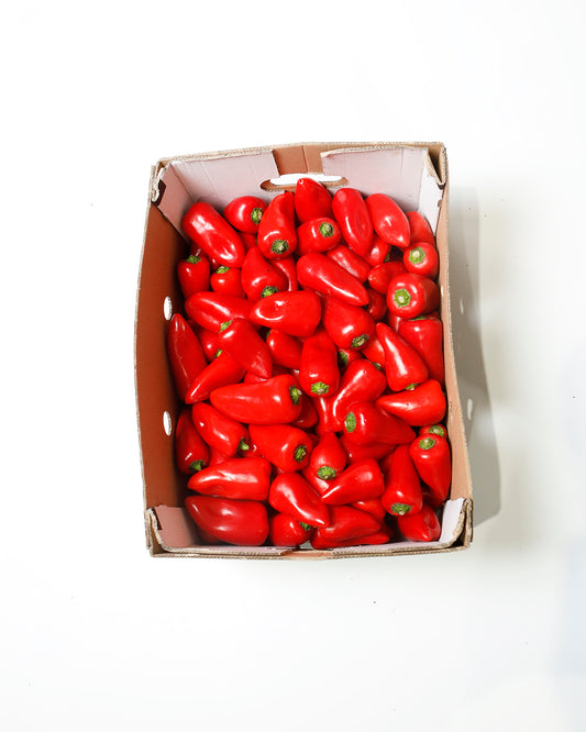 Capsicum Sweetbite Red