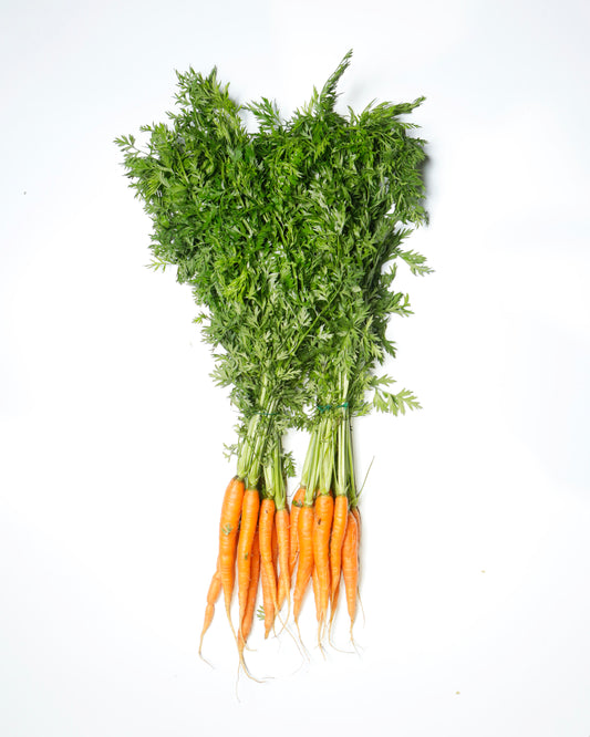 Carrot Baby Orange with Leaves