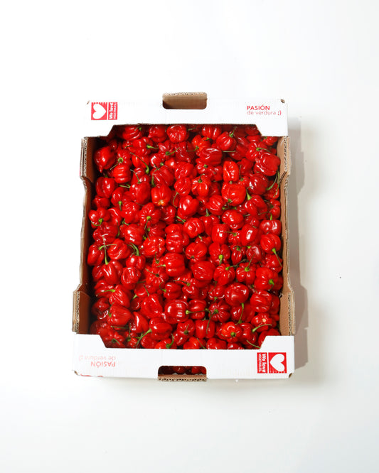 Chilli Habanero Red