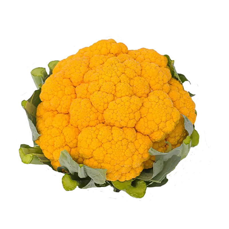 Cauliflower Orange / Yellow