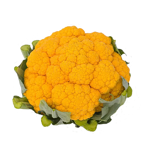 Cauliflower Orange / Yellow
