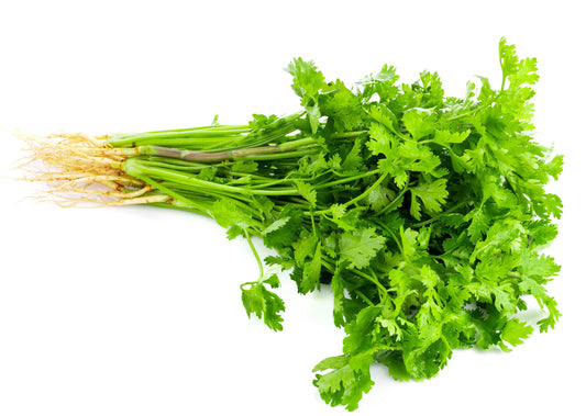 Herb Coriander (Chinese Parsley)