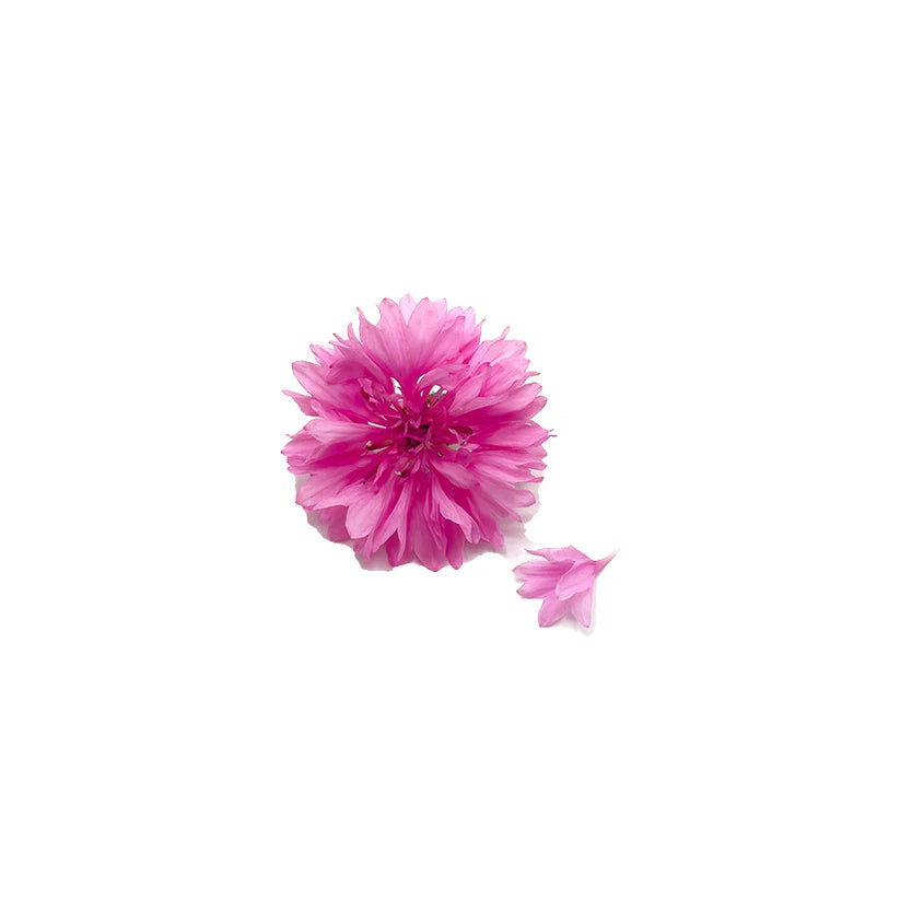 Edible Flowers - Cornflower (Light Pink) (Nosh)