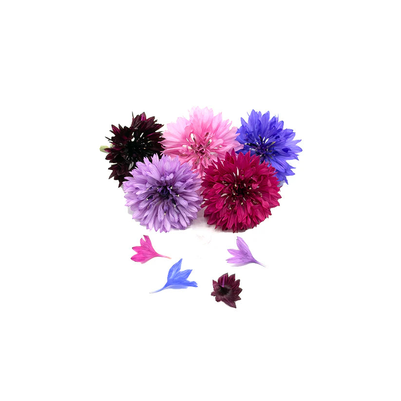 Edible Flowers - Cornflower (Mix) (Nosh)