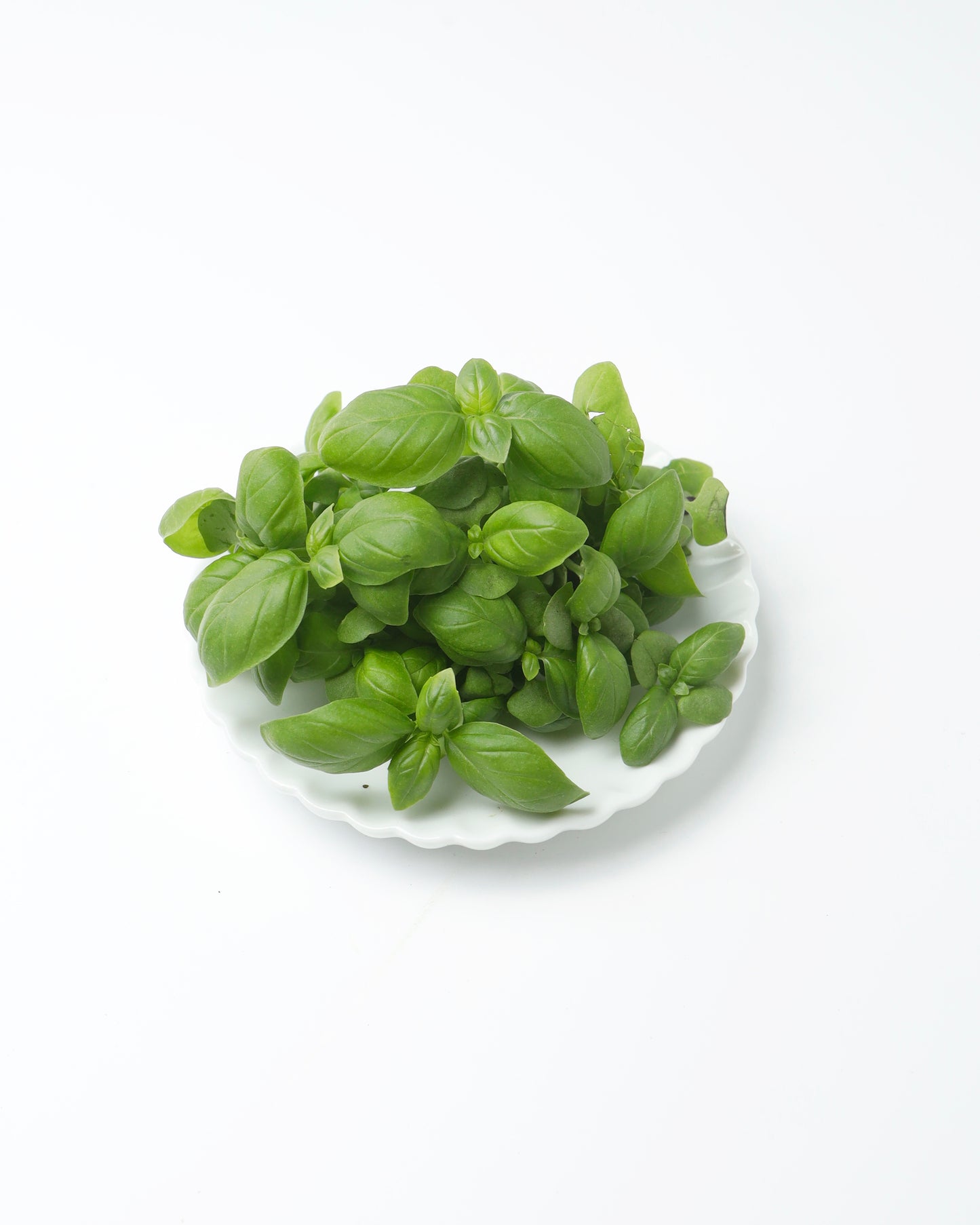 Cress Basil Green (Small)