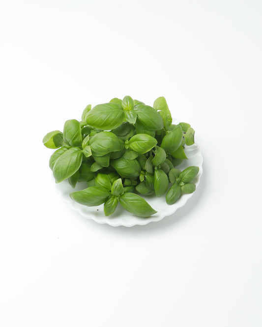 Cress Basil Green (Small)