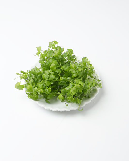 Cress Celery (Large)