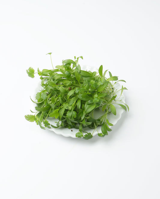 Cress Coriander