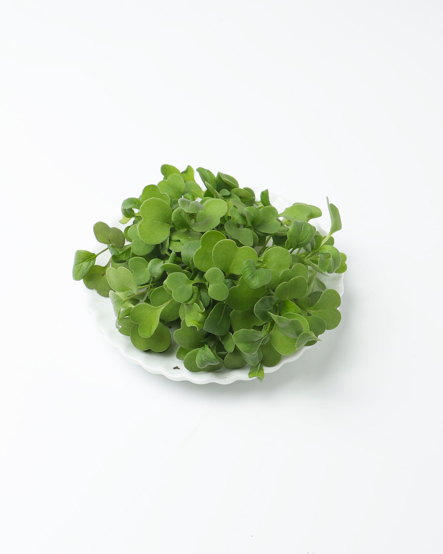 Cress Green Daikon