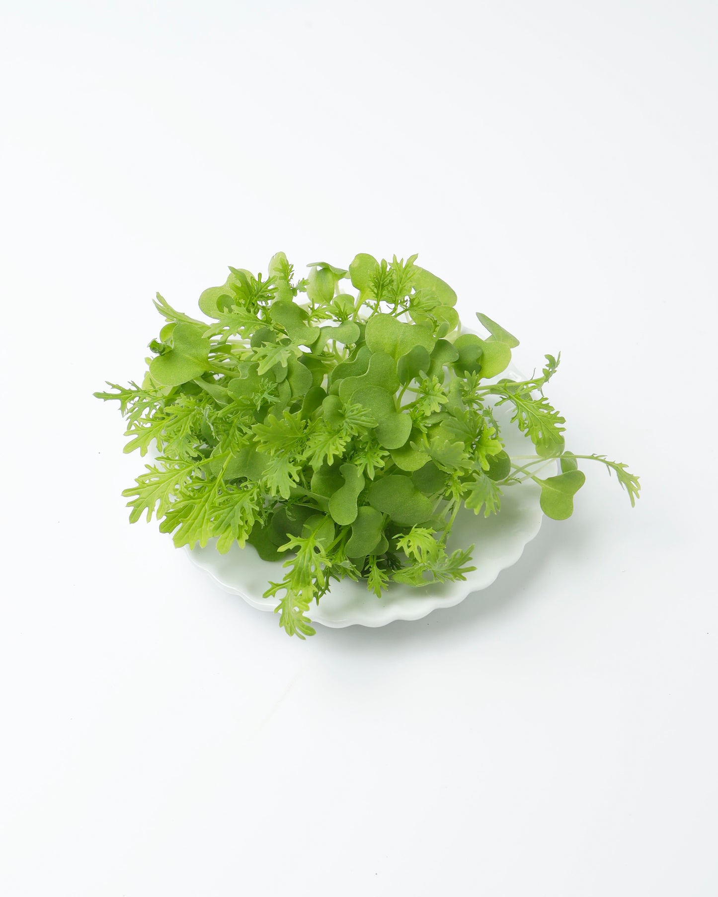 Cress Mustard Frills