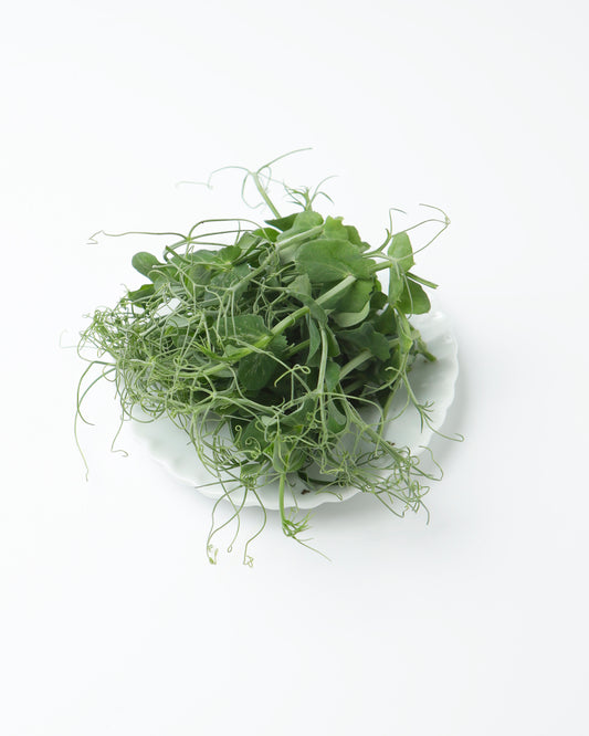 Cress Pea Tendril