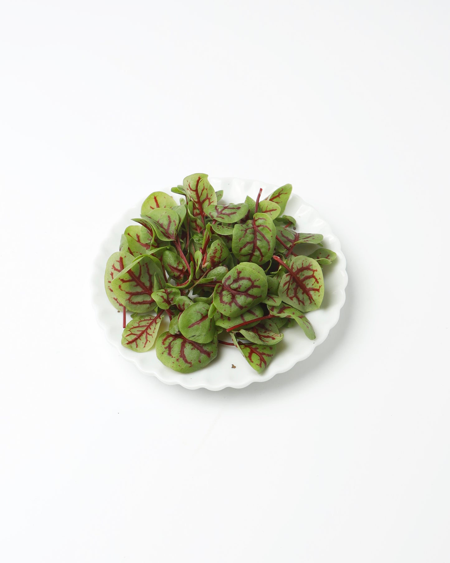 Cress Red Vein Sorrel