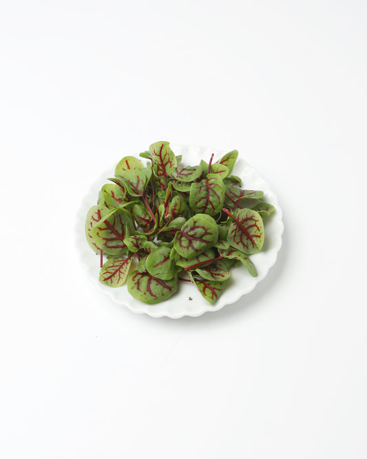 Cress Red Vein Sorrel