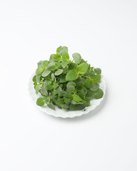 Cress Green Shiso