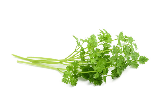 Herb Chervil