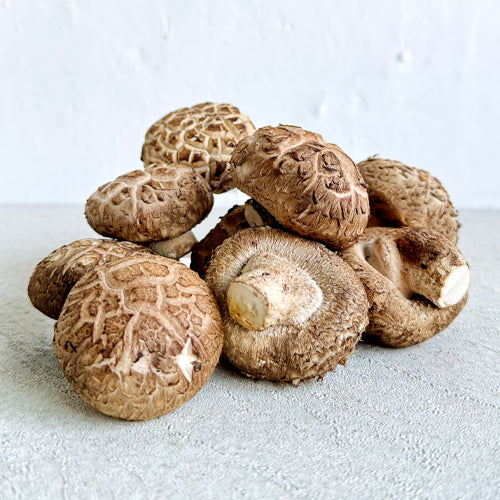 Mushroom Shiitake