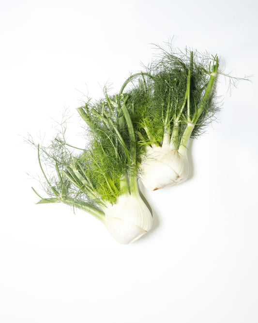 Fennel