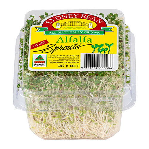 Sprout Alfafa