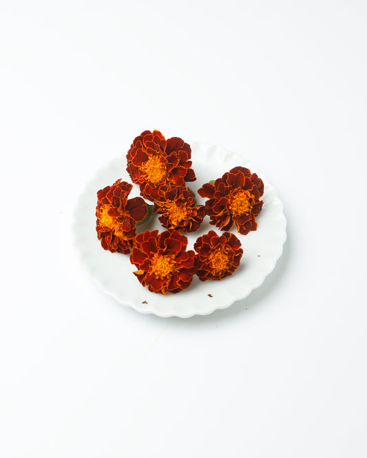 Edible Flower Marigold