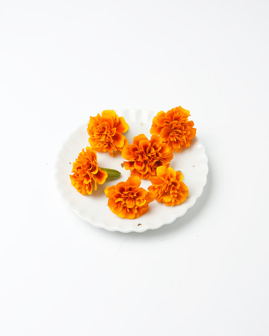 Edible Flower Marigold