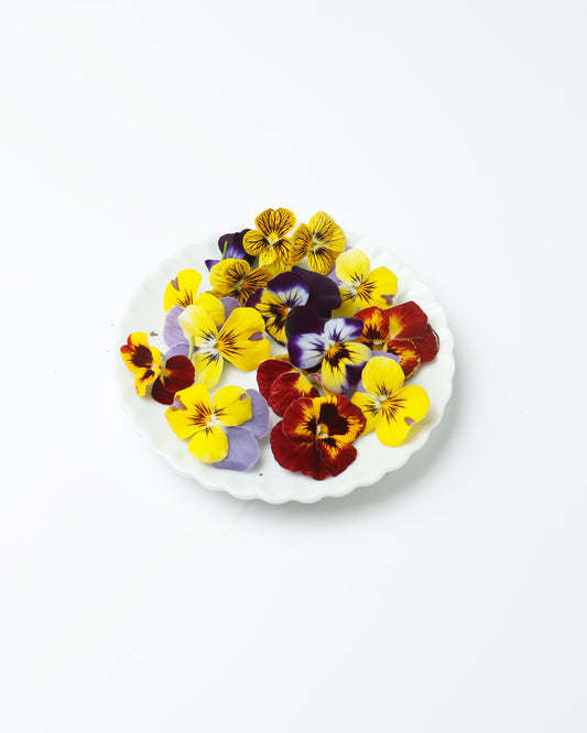 Edible Flower Viola