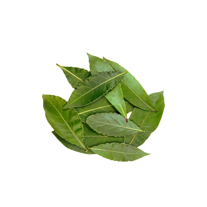 Herb Bay leaf