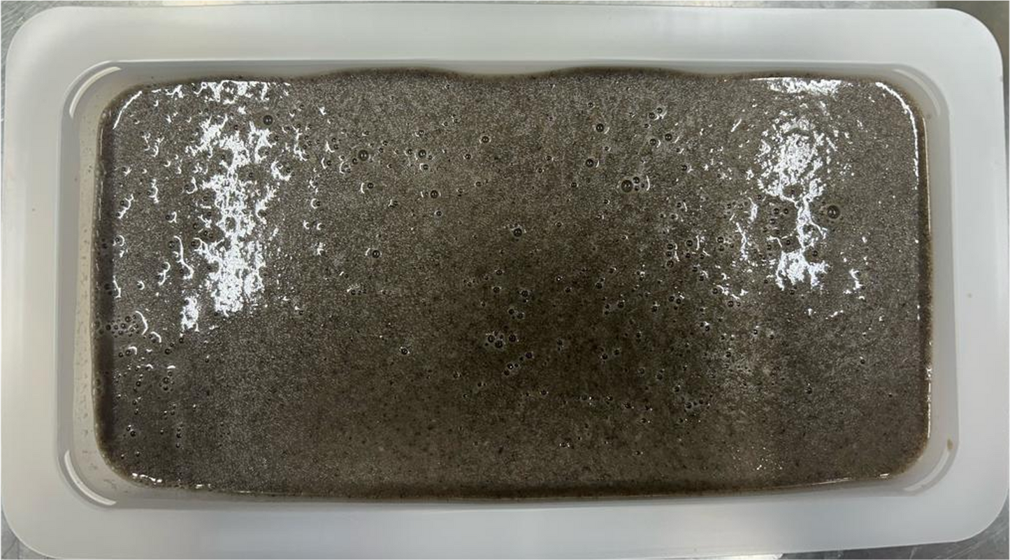 Frozen Soup - Mushroom Soup 3 kg/Tub Gari (Kito)