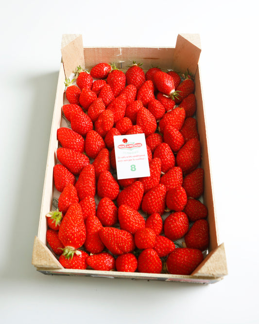 Strawberry Gariguette