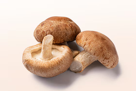 Mushroom Shiitake