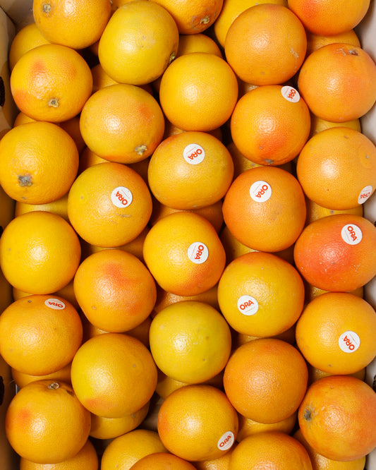 Grapefruit