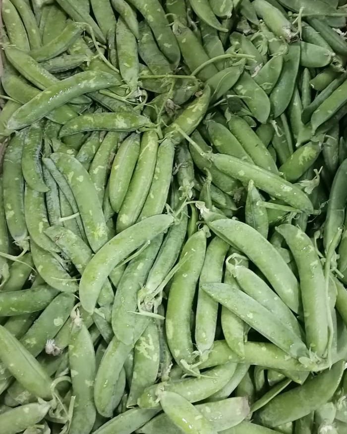 Fresh Green Peas /  Petit Pois