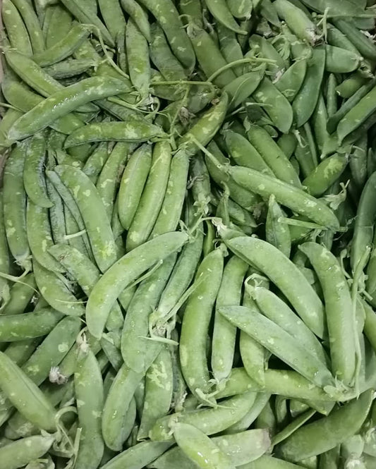 Fresh Green Peas /  Petit Pois