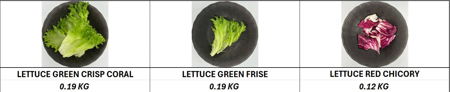 Green Coral Frisee Mix - 500gm/Pkt (Kito)